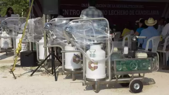 Este año se espera la obtención de 46 millones de litros de leche en la Entidad Este año se espera la obtención de 46 millones de litros de leche en la Entidad