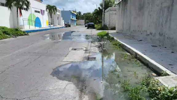 Mencionan que han denunciado la situación a la CAPA, pero no hacen nada al respecto Mencionan que han denunciado la situación a la CAPA, pero no hacen nada al respecto