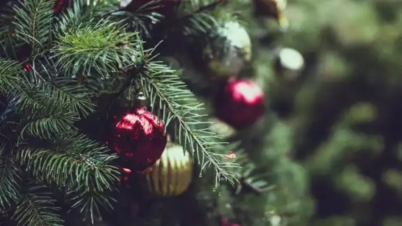 Lo más importante de Navidad en la cultura maya es la reunión de las familias para cenar y convivir en compañía de sus seres queridos Lo más importante de Navidad en la cultura maya es la reunión de las familias para cenar y convivir en compañía de sus seres queridos