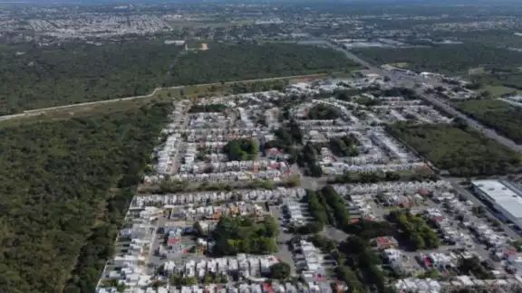 En 10 años, Mérida perdió cerca de mil hectáreas En 10 años, Mérida perdió cerca de mil hectáreas