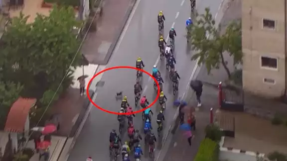 El momento exacto del accidente. Foto: Especial