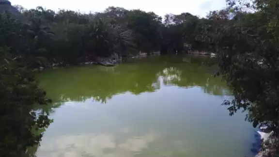 En 10 o 15 años Solidaridad va a estar en peligro de no tener agua En 10 o 15 años Solidaridad va a estar en peligro de no tener agua