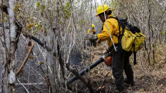 Aún no hay registro de incendios forestales Aún no hay registro de incendios forestales