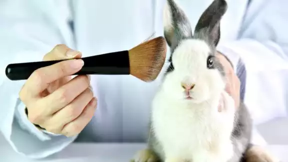 En todo el mundo ya son 45 países que prohíben estas pruebas en animales En todo el mundo ya son 45 países que prohíben estas pruebas en animales
