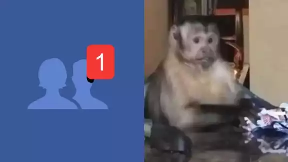Facebook comenzó a fallar al enviar solicitudes de amistad por error Facebook comenzó a fallar al enviar solicitudes de amistad por error