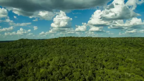 En Campeche, 40 por ciento de la superficie está “bajo un estatus de preservación y conservación