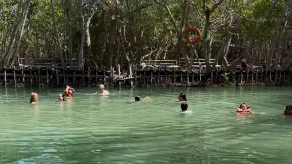 Los cenotes de Yucatán tienen horarios específicos para sus visitas Los cenotes de Yucatán tienen horarios específicos para sus visitas