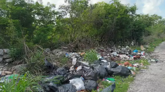 Vecinos del Infonavit dijeron que los desechos pasan días sin ser levantados, quedándose en grandes montones Vecinos del Infonavit dijeron que los desechos pasan días sin ser levantados, quedándose en grandes montones