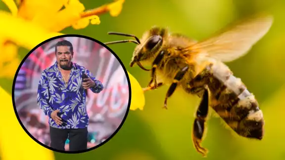 El yucateco Juan Carlos “Paleto” Tapia se ha vuelto popular por una de sus canciones