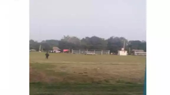Partido de béisbol mortal; un muerto y tres lesionados tras riña