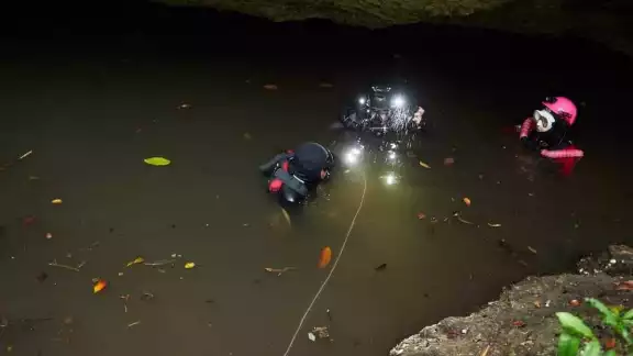 Centro de Investigación Científica de Yucatán realizó la investigación