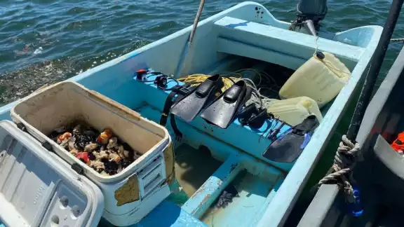 Fueron detenidos por no acreditar la procedencia de captura de productos de mar por Fueron detenidos por no acreditar la procedencia de captura de productos de mar por