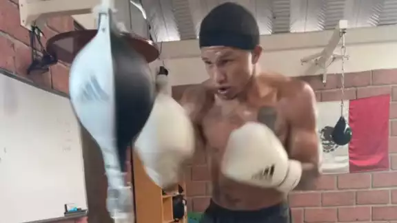 Miguel "Alacrán" Berchelt Cervera tuvo su última pelea en Las Vegas Miguel "Alacrán" Berchelt Cervera tuvo su última pelea en Las Vegas