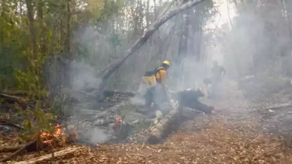 Semabicce informó que los 19 combatientes que trabajaron en Xbonil Viejo dieron por liquidado el fuego Semabicce informó que los 19 combatientes que trabajaron en Xbonil Viejo dieron por liquidado el fuego