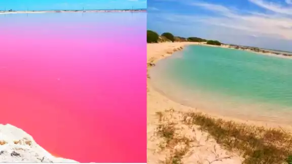 Los dos mares se encuentran en la comunidad llamada Las Coloradas, en San Felipe Los dos mares se encuentran en la comunidad llamada Las Coloradas, en San Felipe