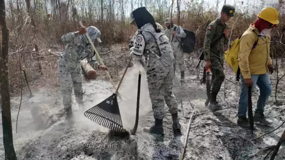 El incendio de Chun Ek registra una afectación 2 mil 380 hectáreas aproximadamente El incendio de Chun Ek registra una afectación 2 mil 380 hectáreas aproximadamente