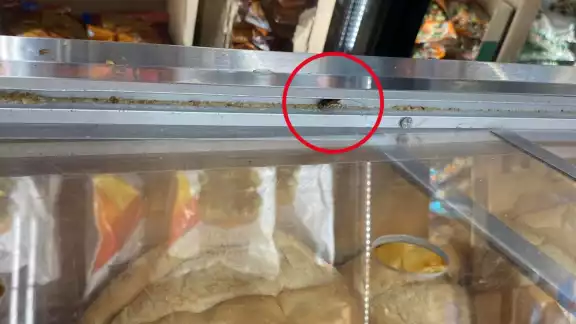 La usuaria encontró la cucaracha en Bodega Aurrera La usuaria encontró la cucaracha en Bodega Aurrera