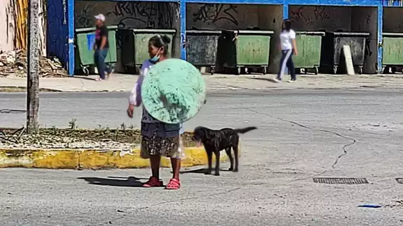 Reportan que el albergue de animales en Othon P. Blanco recibe 3 mil pesos mensuales