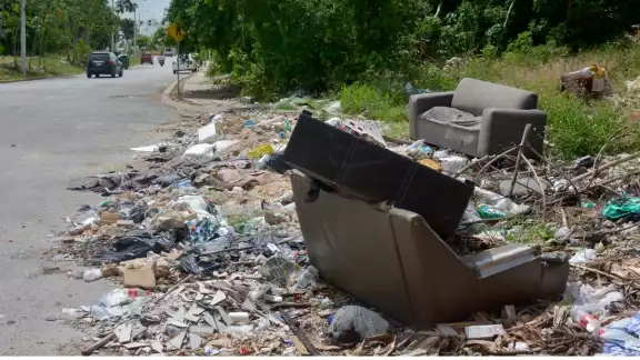 Los contenedores de la ciudad están rebasados y tiran basura en áreas verdes