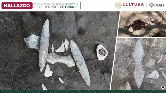 El Tigre en Candelaria forma parte del tramo 1 del Tren Maya con una extensión de 226 kilómetros El Tigre en Candelaria forma parte del tramo 1 del Tren Maya con una extensión de 226 kilómetros