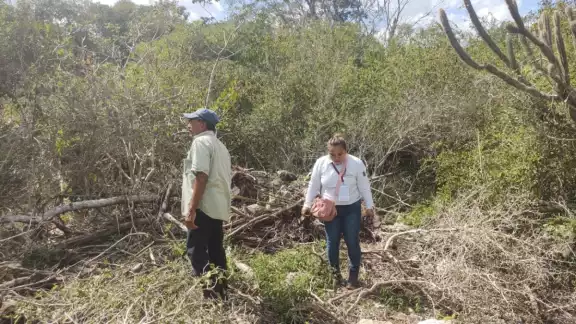 La inspectora Nidelvia Anguas acudió en nombre de la oficina central para revisar los terrenos y colocar el sello de clausurado.
