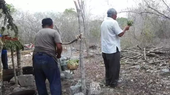 Anteriormente, el oficio de curandero era muy popular y solicitado en el poblado Anteriormente, el oficio de curandero era muy popular y solicitado en el poblado