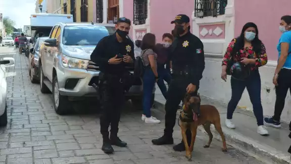 El fraude fue el acto ilegal con una mayor frecuencia en la entidad. Foto: A. Gómez / Por Esto! El fraude fue el acto ilegal con una mayor frecuencia en la entidad. Foto: A. Gómez / Por Esto!