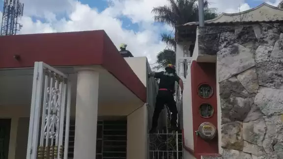 Los elementos policiacos escucharon los maullidos del felino en el techo y pidieron el apoyo de los bomberos Los elementos policiacos escucharon los maullidos del felino en el techo y pidieron el apoyo de los bomberos
