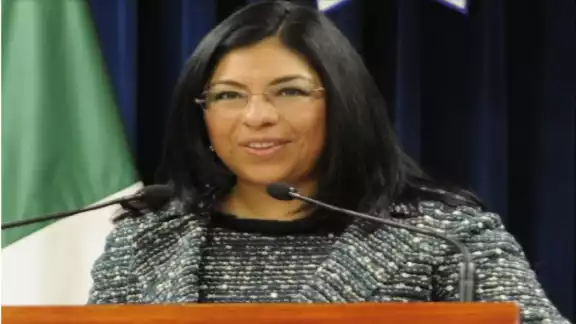 Maribel Cervantes Guerrero promovió un amparo para evitar ser detenida por la orden de aprehensión girada por un juez en el caso Rápido y Furioso Maribel Cervantes Guerrero promovió un amparo para evitar ser detenida por la orden de aprehensión girada por un juez en el caso Rápido y Furioso