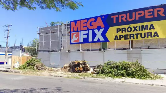 Los responsables de cortar los enormes álamos tendrán que pagar 160 mil pesos y restituir seis ejemplares adultos en el boulevard Playa del Carmen. Los responsables de cortar los enormes álamos tendrán que pagar 160 mil pesos y restituir seis ejemplares adultos en el boulevard Playa del Carmen.
