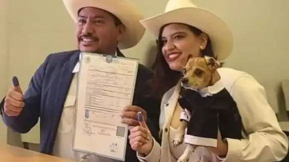 Este perrito chihuahua fue testigo de honor en la boda de sus dueños Este perrito chihuahua fue testigo de honor en la boda de sus dueños