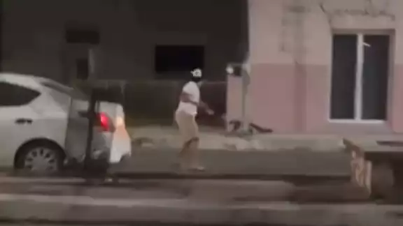 Es la segunda vez que encuentran a un pizote en las calles del Telchac Pueblo