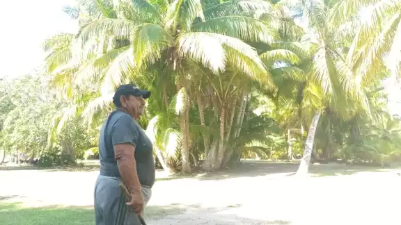 Sostuvo que en el terreno cuenta con más de 5 mil plantas de diferentes tamaños ubicados por sus variedades Sostuvo que en el terreno cuenta con más de 5 mil plantas de diferentes tamaños ubicados por sus variedades