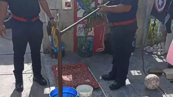 La serpiente Ekuneil murió tras el ataque con el perro Pitbull