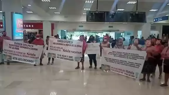 Los habitantes de Sitilpech usaron máscaras de cerdo para exponer su inconformidad en contra de Kekén en Yucatán