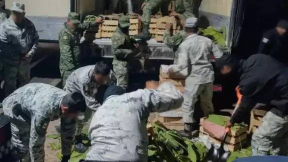 Las drogas quedaron a cargo de las autoridades de Guanajuato Las drogas quedaron a cargo de las autoridades de Guanajuato