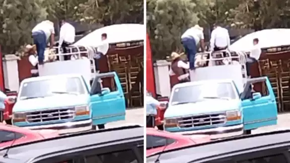 Cuacolandia pidió que le permitan el decomiso del caballo Cuacolandia pidió que le permitan el decomiso del caballo