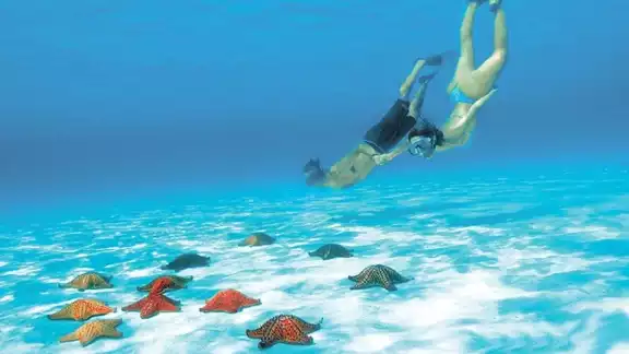 Esta playa forma parte del segundo sistema de arrecifes más grande del mundo