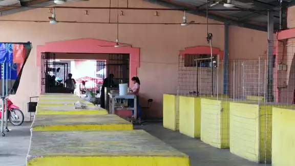 Recalcaron que es importante contratar a expertos para que se pueda atender en este tema Recalcaron que es importante contratar a expertos para que se pueda atender en este tema
