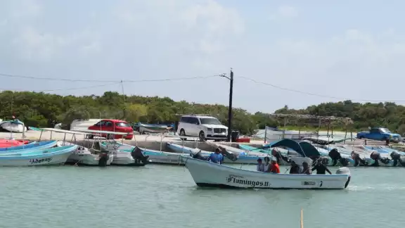 Un grupo de pescadores que no son de Progreso dio recorridos sin pertenecer a alguna cooperativa Un grupo de pescadores que no son de Progreso dio recorridos sin pertenecer a alguna cooperativa