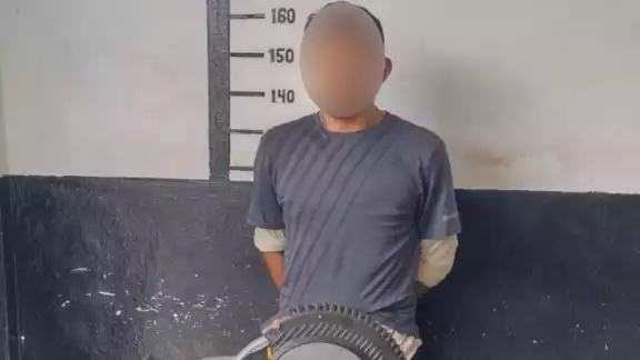 Cabe mencionar que el afectado reconoció el artículo como su propiedad Cabe mencionar que el afectado reconoció el artículo como su propiedad