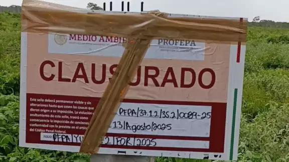 La Profepa colocó letreros de clausura en las obras en Baca