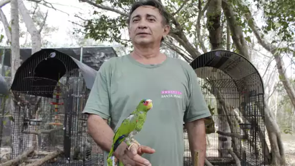 Medina Ancona indicó que en esta unidad hay casos de aves que fueron rescatadas muy maltratadas Medina Ancona indicó que en esta unidad hay casos de aves que fueron rescatadas muy maltratadas