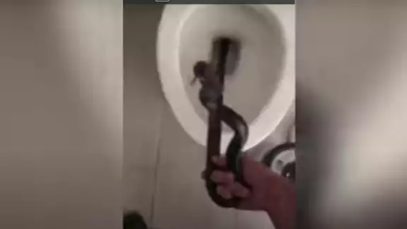 El video comenzó a circular en redes sociales, pero muchos creyeron que era una broma. Foto: Especial