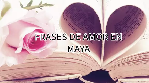 El romanticismo se ha presente durante el día de San Valentín El romanticismo se ha presente durante el día de San Valentín