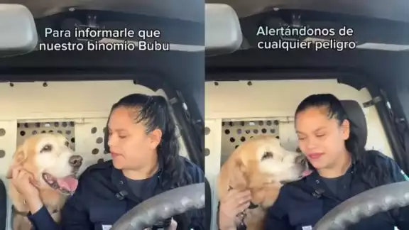 Bubu fue despedido por la policía de Hermosillo Bubu fue despedido por la policía de Hermosillo
