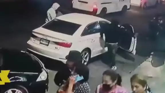 Los ladrones aprovecharon el descuido del dueño
