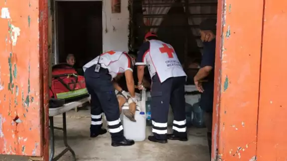 En caso de quemaduras no utilizar remedios caseros porque agravan el problema