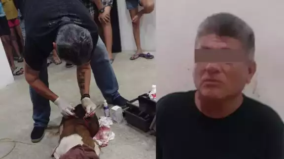 A pesar de que intentó huir, el hombre fue detenido por elementos de la Policía Playa del Carmen A pesar de que intentó huir, el hombre fue detenido por elementos de la Policía Playa del Carmen