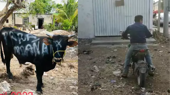 El hombre identificó quien le robó su ganado desde el año 2022